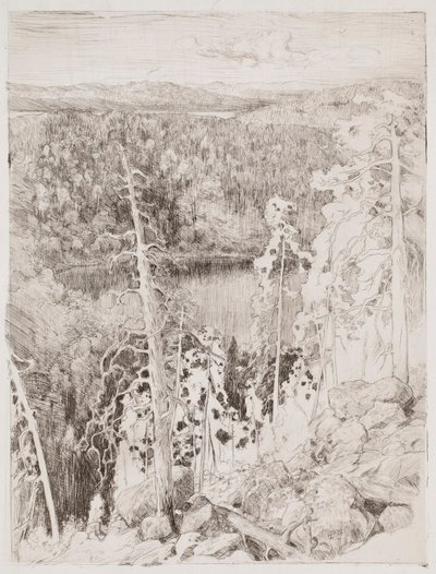  door Eero Järnefelt