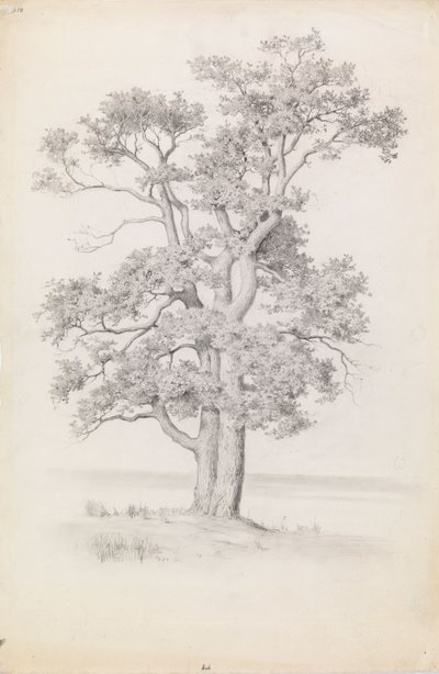  door Eero Järnefelt