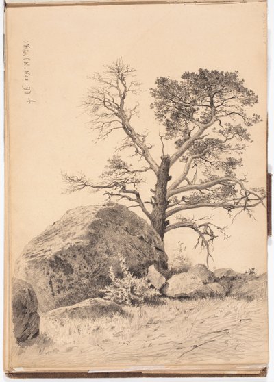  door Eero Järnefelt