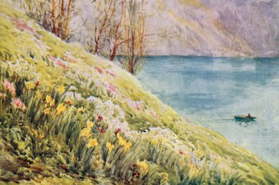 Zwitserland door Effie Jardine