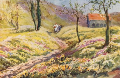 Zwitserland door Effie Jardine