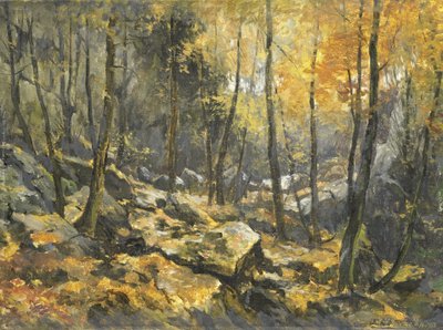 Felsenmeer door Egbert Rubertus Derk Schaap