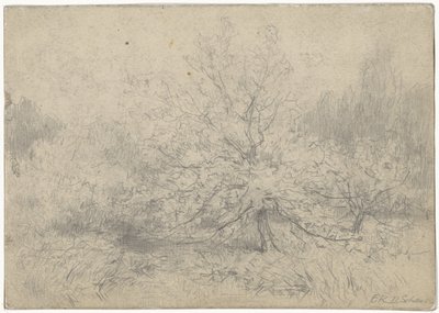 Landschap met een boom prominent in het midden door Egbert Rubertus Derk Schaap
