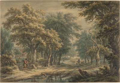 Bij Donderen, in de bossen van Drenthe door Egbert van Drielst