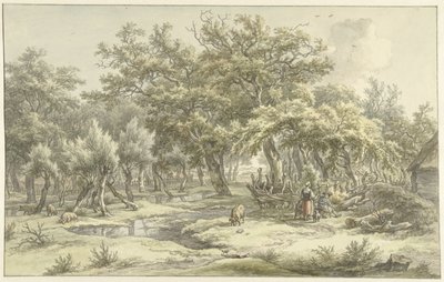 Landschap bij Eext (Drenthe) door Egbert van Drielst