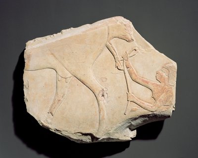 Fragment van een reliëf dat de geboorte van een kalf uitbeeldt, uit Asasif, Thebe, Derde Tussenperiode (c.1069-664 v.Chr.) door Egyptian