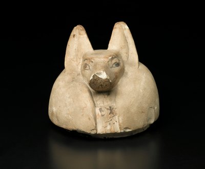 Jakhalskopdeksel van een canopische kruik door Egyptian