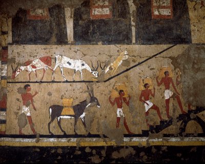 Egyptische oudheid: het transport van tarwe op de rug van muilezels en op de rug van slaven. Fresco uit het graf van koningin Neferou III. 12e dynastie. 2200-2000 v.Chr. Uit El Ghebelen. Turijn, Egyptisch museum door Egyptian 12th Dynasty