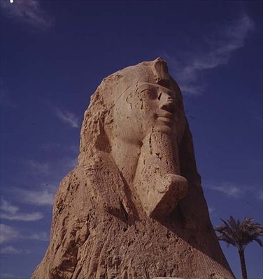Albasten Sfinx, Nieuwe Koninkrijk, waarschijnlijk uit de regeerperiode van Amenhotep II, ca.1450-1425 v.Chr. door Egyptian 18th Dynasty