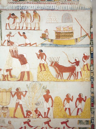 Boot en scènes van oogst, verzamelen, transporteren en verwerken van graan, fresco door Egyptian 18th Dynasty