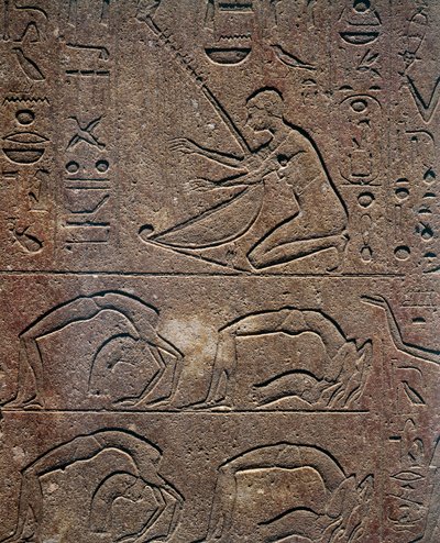 Vieringen met harpist en acrobaten, reliëf, Rode Kapel van Hatsjepsoet, reconstructie tentoongesteld in het Museum van Karnak, Egyptische beschaving, Nieuwe Rijk, Dynastie XVIII door Egyptian 18th Dynasty