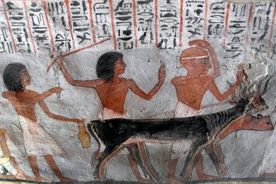 Egyptische oudheid: personages die veehoofden leiden. Schilderij van het graf van Roy (TT255). 18e dynastie. Van de Westelijke Jordaanoever van Luxor, Egypte door Egyptian 18th Dynasty