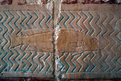 Vissen, scènes van het koninkrijk Punt, zuidmuur van de centrale colonnade, dodentempel van Hatsjepsoet, Deir el-Bahari, Thebaanse necropolis (UNESCO Werelderfgoedlijst) door Egyptian 18th Dynasty