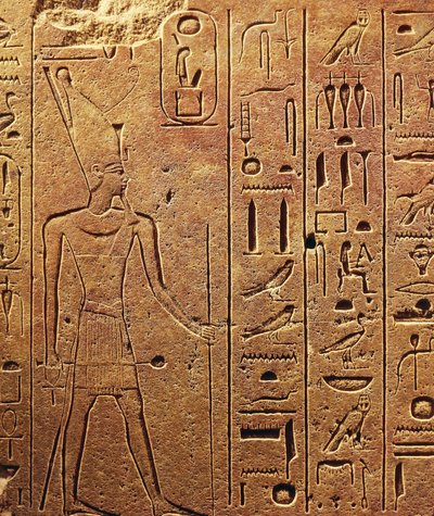 Hiërogliefen, detail van blok uit de Tempel van Hatsjepsoet in Karnak, Egyptische beschaving, Nieuwe Koninkrijk, Dynastie XVIII door Egyptian 18th Dynasty