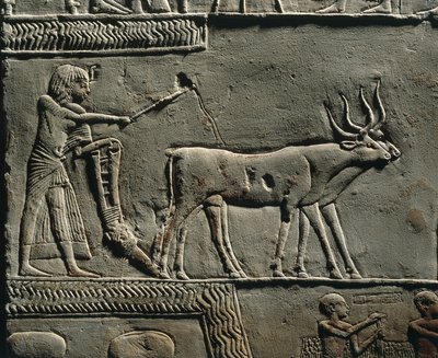 Horemheb die land ploegt in de velden van Iaru. Reliëf uit het graf van Horemheb in Saqqara (detail) door Egyptian 18th Dynasty