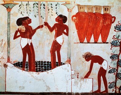 Illustratie van het landelijke dagelijks leven: plukken van gevogelte en druivenoogst, afkomstig uit het graf van Nakht in Thebe door Egyptian 18th Dynasty