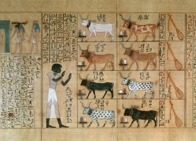 Papyrus met ossen, uit het Dodenboek van Maiherperi door Egyptian 18th Dynasty