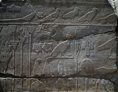 Planten en dieren teruggebracht van Thoetmosis III