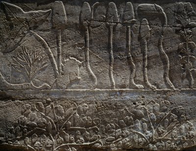 Planten teruggebracht van Thoetmosis III