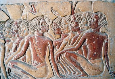 Reliëf van Nubische slaven, tweede hof van het Graf van Horemheb, Saqqara Necropolis, Memphis (Unesco Werelderfgoedlijst) door Egyptian 18th Dynasty