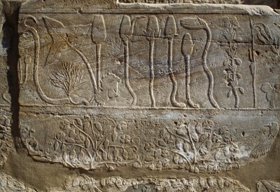 Reliëf van dieren en planten aangeboden aan Amun door Thoetmosis III na zijn terugkeer van de campagne in Syrië in 1465 v.Chr., Botanische Tuinkamer, Karnak, Thebaanse Necropolis, Luxor, Egypte, Nieuwe Rijk, Dynastie XVIII door Egyptian 18th Dynasty