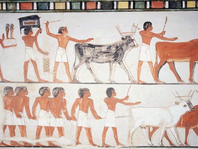 Herders en vee, fresco, zuidmuur, longitudinale kamer, Thebaanse graf TT69, Sheikh Abd el-Qurna, Thebe (Unesco Werelderfgoedlijst) door Egyptian 18th Dynasty