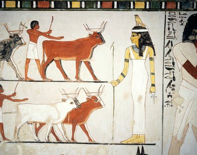 Herders en vee voor de godin Imentet, fresco, zuidmuur, longitudinale kamer, Thebaanse Tombe TT69, Sheikh Abd el-Qurna, Thebe (Unesco Werelderfgoedlijst) door Egyptian 18th Dynasty