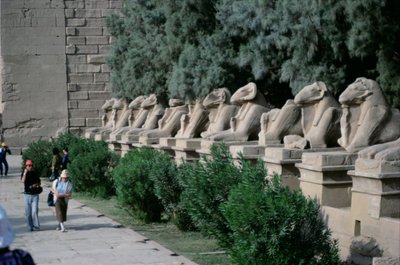 Laan van ramshoofdige sfinxen langs de Processieweg naar de Grote Tempel van Amon, Nieuwe Koninkrijk door Egyptian 19th Dynasty