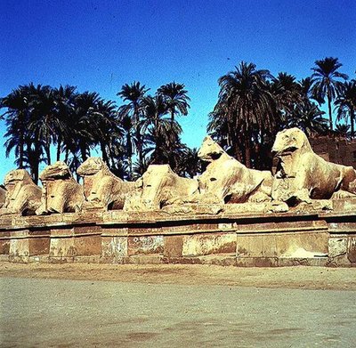 Laan van ramshoofdige sfinxen langs de Processieweg naar de Grote Tempel van Amon, Nieuwe Koninkrijk door Egyptian 19th Dynasty