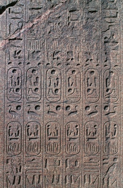 Blok met reliëfs en inscripties, Grote Tempel van Amon, Tanis, Egypte, Nieuwe Rijk, Dynastie XIX door Egyptian 19th Dynasty