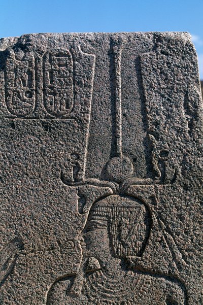 Blok met reliëfs en inscripties van Ramses II, Grote Tempel van Amon, Tanis, Egypte, Egyptische beschaving, Nieuwe Koninkrijk, Dynastie XIX door Egyptian 19th Dynasty