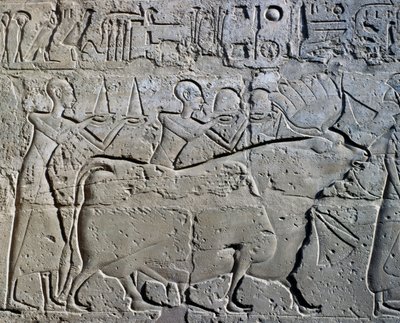 Personages die mijnbouwdistricten symboliseren brengen hun eerbetoon aan god, reliëf, Ramses II Binnenplaats, Tempel van Amon (Unesco Werelderfgoedlijst) door Egyptian 19th Dynasty