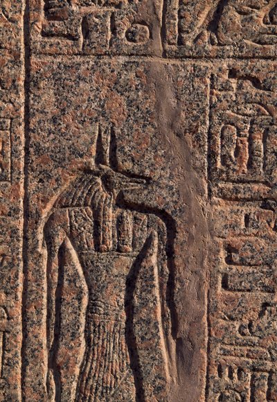 Afbeelding van Anubis, detail van inscriptie en reliëf van Anubis en een andere god, sarcofaag van Amenhotep, Memphis (UNESCO Werelderfgoedlijst) door Egyptian 19th Dynasty