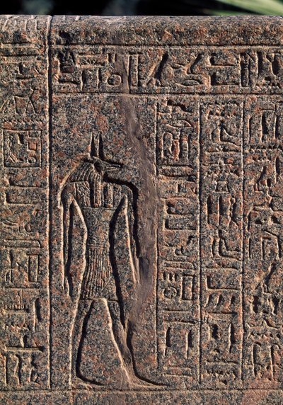 Afbeelding van Anubis, (detail) door Egyptian 19th Dynasty