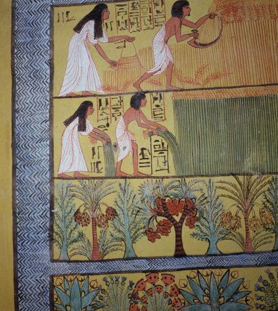 Detail van een oogstscène op de oostmuur door Egyptian 19th Dynasty