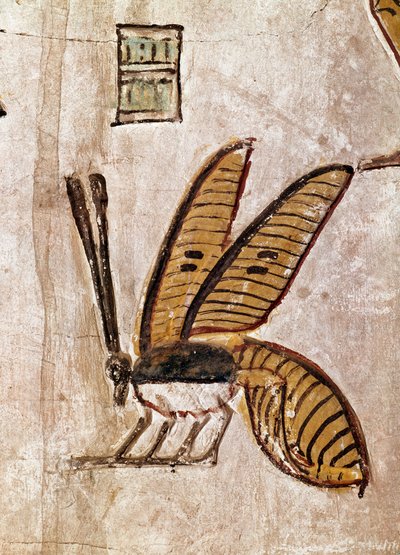 Egyptische kunst: Graf van Sethi I. Detail van de bij. 19e dynastie fresco van Luxor, linkeroever van de Nijl, Egypte door Egyptian 19th Dynasty