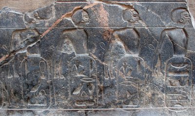 Egyptische oudheid: detail van een reliëf dat de emblemen van de door farao Ramses II veroverde gebieden versiert. Tempel van Luxor. Oostelijke oever (Thebe), Egypte door Egyptian 19th Dynasty