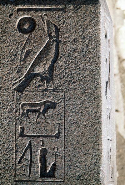 Hiëroglief met de naam van Horus, Grote Tempel van Amon, Tanis, Egypte, Nieuwe Rijk, Dynastie XIX door Egyptian 19th Dynasty