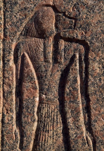 Inscriptie en reliëf van Anubis en een andere god, sarcofaag van Amenhotep, Memphis (Unesco Werelderfgoedlijst) door Egyptian 19th Dynasty