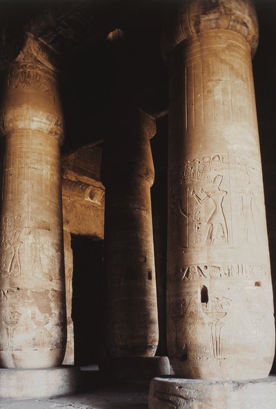 Interieur van de Eerste Hypostyle Hal, Nieuwe Koninkrijk door Egyptian 19th Dynasty