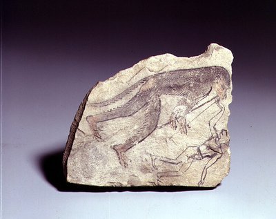 Ostracon met een figuur van een aap die fluit speelt, Nieuwe Koninkrijk door Egyptian 19th Dynasty