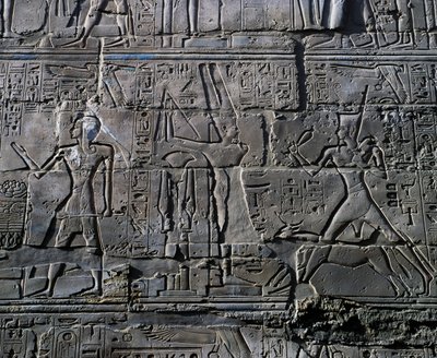 Koningin Hatsjepsoet voor God Amon, detail van scènes van offers aan goden, reliëf, binnenmuren van de Grote Hypostyle Hal, Karnak tempelcomplex (Unesco Werelderfgoedlijst) door Egyptian 19th Dynasty