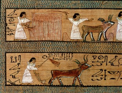 Oogsten en ploegen, detail van een afbeelding van landbouwactiviteiten in het hiernamaals, uit het Dodenboek van de schrijver Any, ca. 1250 v.Chr. door Egyptian 19th Dynasty
