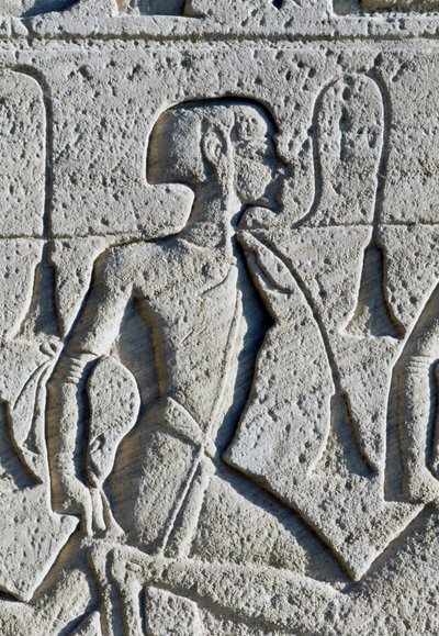 Reliëf dat een gevangene uit de Slag bij Kadesh afbeeldt (detail) door Egyptian 19th Dynasty