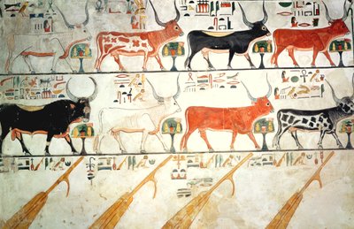 De zeven hemelse koeien en de heilige stier en de vier roeren van de hemel, uit het graf van Nefertari, Nieuwe Koninkrijk door Egyptian 19th Dynasty
