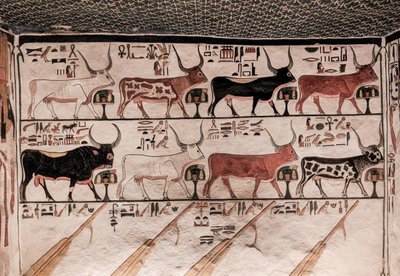 Graf van Nefertari door Egyptian 19th Dynasty