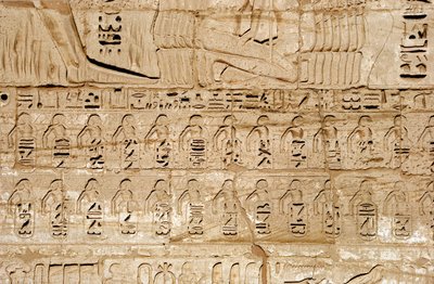 Egyptische oudheid: detail van de reliëfs van de eerste pyloon die de emblemen van de door farao Ramses III veroverde steden voorstellen. Dodentempel van Ramses III (1187-1156 v.Chr.). Luxor, Medinet Habou, Egypte door Egyptian 20th Dynasty