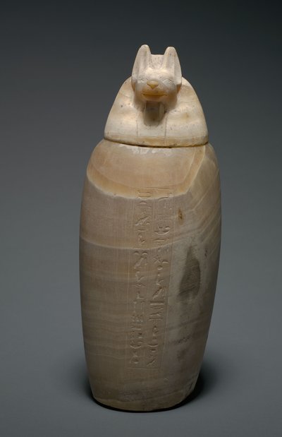 Canopische kruik met jakhalshoofd, 664-525 v.Chr. door Egyptian 26th Dynasty