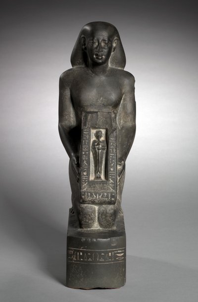 Naophore beeld van de financieel ambtenaar en opzichter van velden, Horwedja, 521-486 v.Chr. door Egyptian 27th Dynasty
