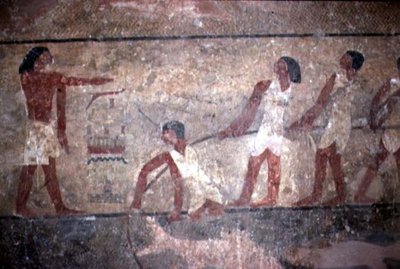 Schilderij van vissers die netten binnenhalen in het graf van Khnumhotep II, Oude Koninkrijk, 2600-1500 v.Chr. door Egyptian 4th Dynasty